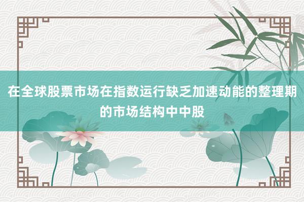 在全球股票市场在指数运行缺乏加速动能的整理期的市场结构中中股