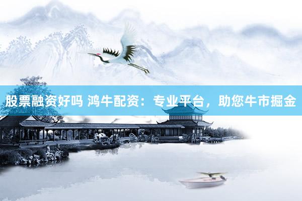 股票融资好吗 鸿牛配资：专业平台，助您牛市掘金