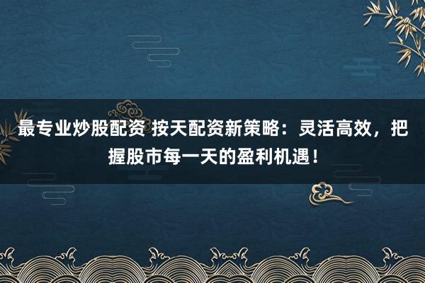 最专业炒股配资 按天配资新策略：灵活高效，把握股市每一天的盈利机遇！