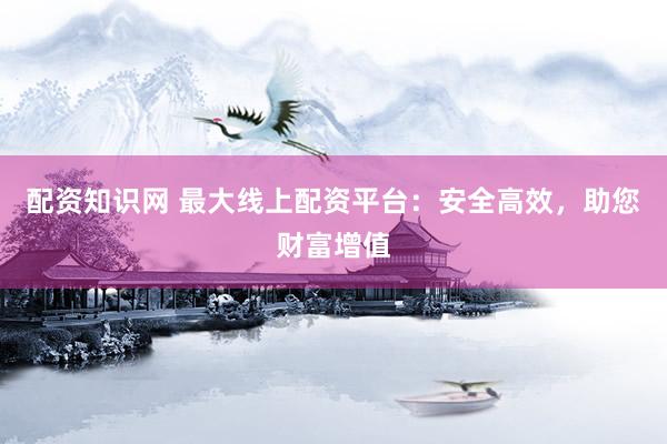 配资知识网 最大线上配资平台：安全高效，助您财富增值